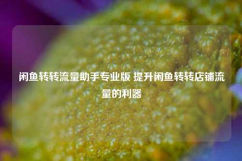 闲鱼转转流量助手专业版 提升闲鱼转转店铺流量的利器