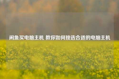 闲鱼买电脑主机 教你如何挑选合适的电脑主机