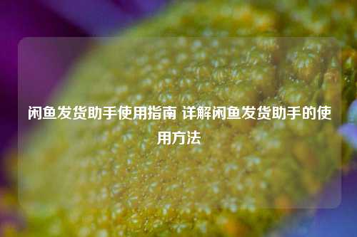 闲鱼发货助手使用指南 详解闲鱼发货助手的使用方法