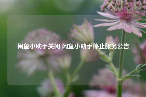 闲鱼小助手关闭 闲鱼小助手停止服务公告