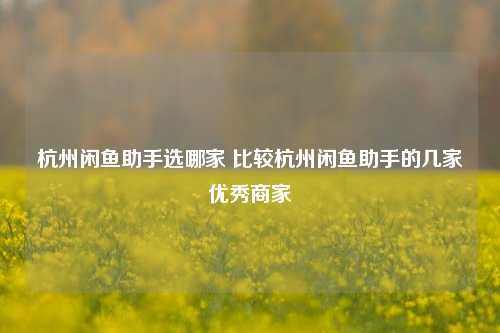 杭州闲鱼助手选哪家 比较杭州闲鱼助手的几家优秀商家