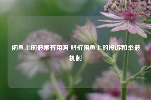 闲鱼上的报案有用吗 解析闲鱼上的投诉和举报机制