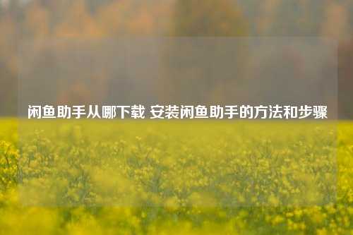 闲鱼助手从哪下载 安装闲鱼助手的方法和步骤