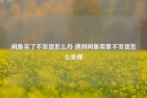 闲鱼买了不发货怎么办 遇到闲鱼卖家不发货怎么处理