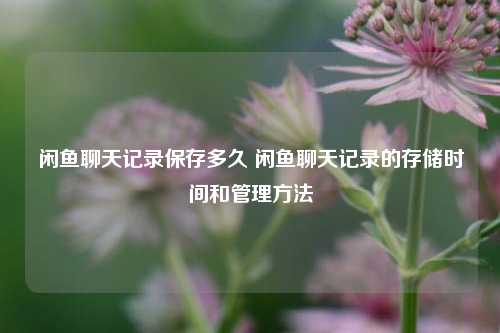 闲鱼聊天记录保存多久 闲鱼聊天记录的存储时间和管理方法