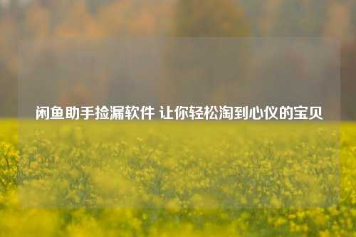 闲鱼助手捡漏软件 让你轻松淘到心仪的宝贝