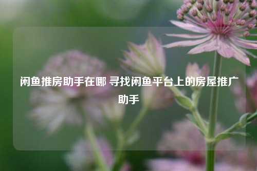 闲鱼推房助手在哪 寻找闲鱼平台上的房屋推广助手