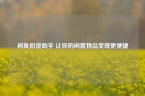 闲鱼拍货助手 让你的闲置物品变现更便捷