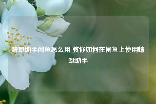 蜻蜓助手闲鱼怎么用 教你如何在闲鱼上使用蜻蜓助手