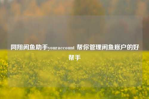 阿翔闲鱼助手youraccount 帮你管理闲鱼账户的好帮手