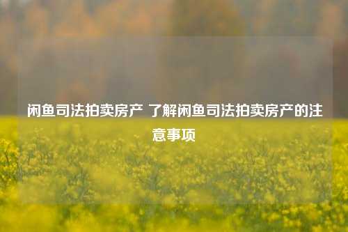 闲鱼司法拍卖房产 了解闲鱼司法拍卖房产的注意事项