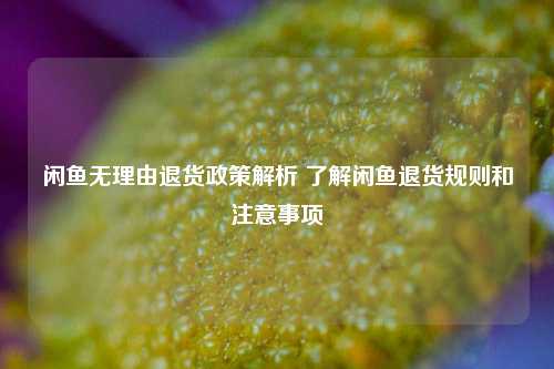 闲鱼无理由退货政策解析 了解闲鱼退货规则和注意事项