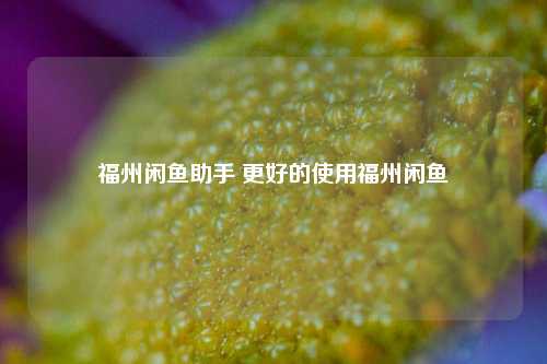 福州闲鱼助手 更好的使用福州闲鱼