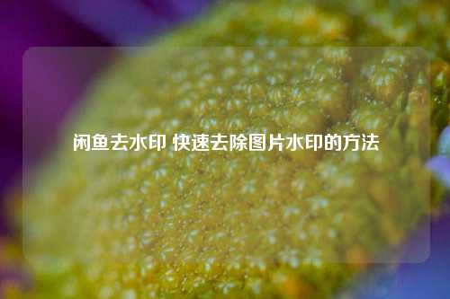 闲鱼去水印 快速去除图片水印的方法