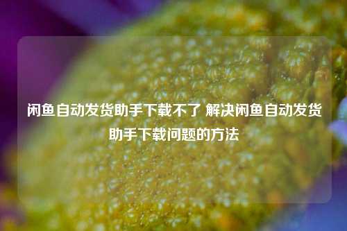 闲鱼自动发货助手下载不了 解决闲鱼自动发货助手下载问题的方法