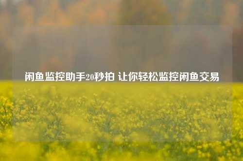 闲鱼监控助手20秒拍 让你轻松监控闲鱼交易