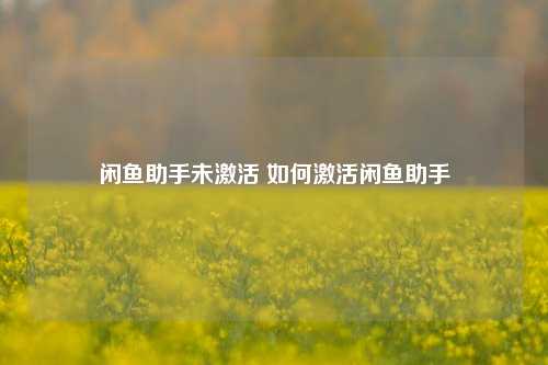 闲鱼助手未激活 如何激活闲鱼助手