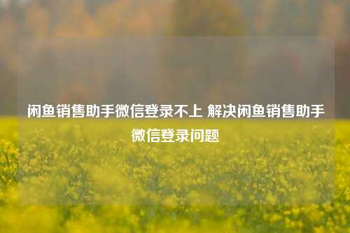 闲鱼销售助手微信登录不上 解决闲鱼销售助手微信登录问题