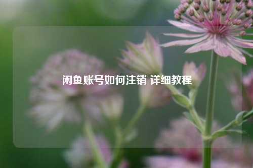 闲鱼账号如何注销 详细教程