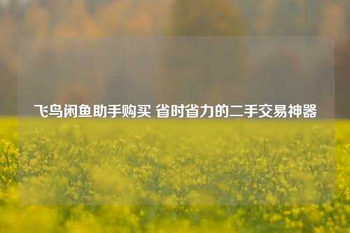 飞鸟闲鱼助手购买 省时省力的二手交易神器