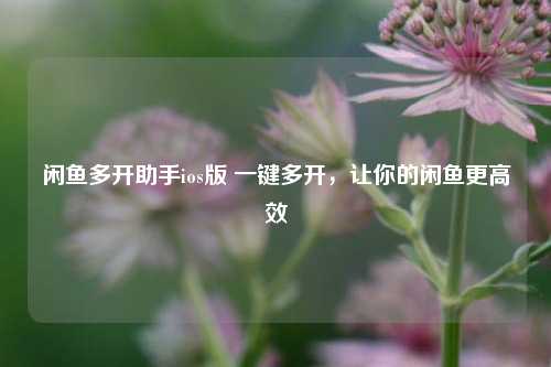 闲鱼多开助手ios版 一键多开，让你的闲鱼更高效