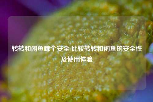 转转和闲鱼哪个安全 比较转转和闲鱼的安全性及使用体验