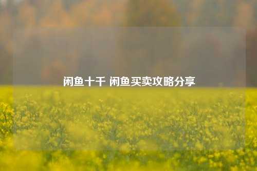 闲鱼十千 闲鱼买卖攻略分享