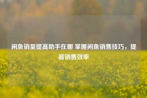 闲鱼销量提高助手在哪 掌握闲鱼销售技巧，提高销售效率