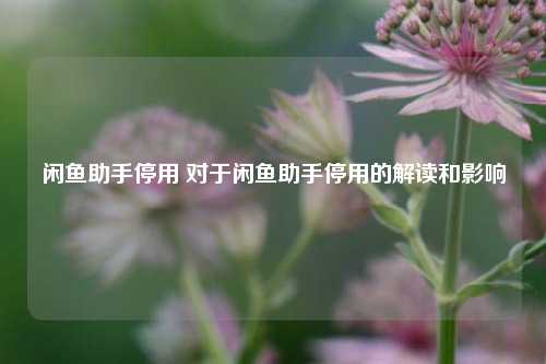 闲鱼助手停用 对于闲鱼助手停用的解读和影响