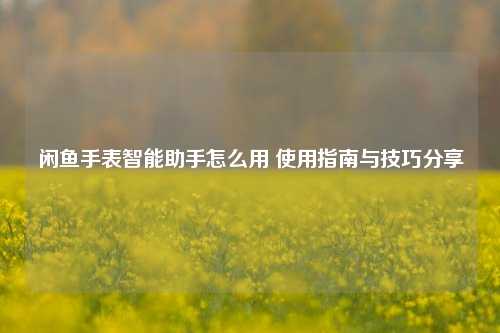 闲鱼手表智能助手怎么用 使用指南与技巧分享