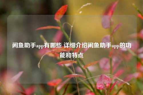 闲鱼助手app有哪些 详细介绍闲鱼助手app的功能和特点