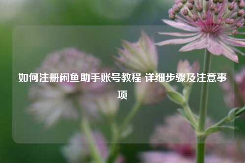 如何注册闲鱼助手账号教程 详细步骤及注意事项