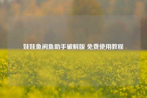 娃娃鱼闲鱼助手破解版 免费使用教程