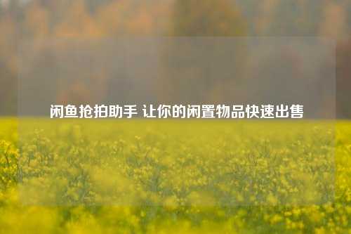 闲鱼抢拍助手 让你的闲置物品快速出售