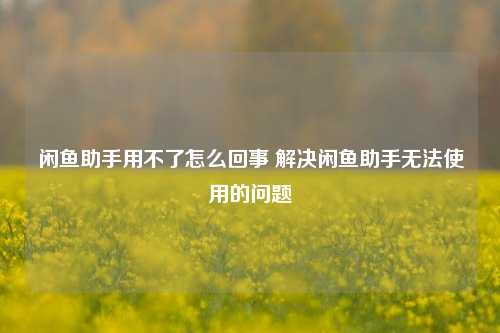 闲鱼助手用不了怎么回事 解决闲鱼助手无法使用的问题