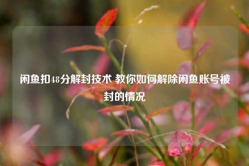 闲鱼扣48分解封技术 教你如何解除闲鱼账号被封的情况