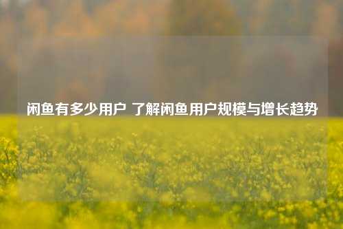 闲鱼有多少用户 了解闲鱼用户规模与增长趋势