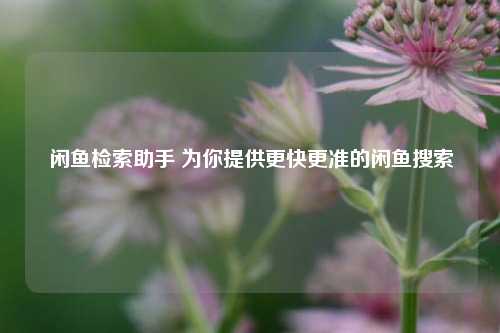 闲鱼检索助手 为你提供更快更准的闲鱼搜索