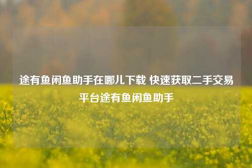 途有鱼闲鱼助手在哪儿下载 快速获取二手交易平台途有鱼闲鱼助手