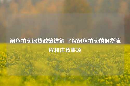 闲鱼拍卖退货政策详解 了解闲鱼拍卖的退货流程和注意事项