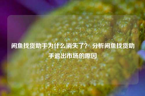 闲鱼找货助手为什么消失了？ 分析闲鱼找货助手退出市场的原因