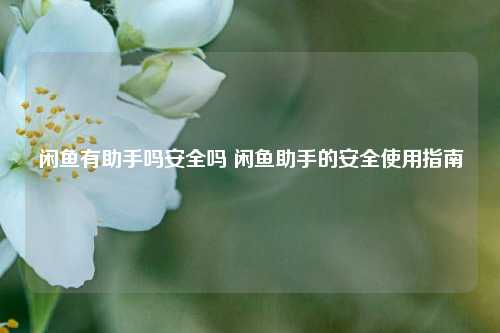 闲鱼有助手吗安全吗 闲鱼助手的安全使用指南