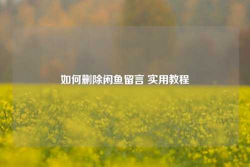 如何删除闲鱼留言 实用教程