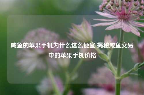 咸鱼的苹果手机为什么这么便宜 揭秘咸鱼交易中的苹果手机价格