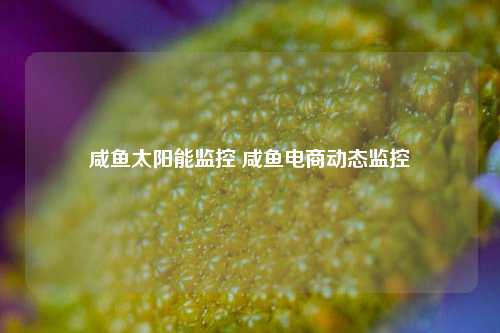 咸鱼太阳能监控 咸鱼电商动态监控