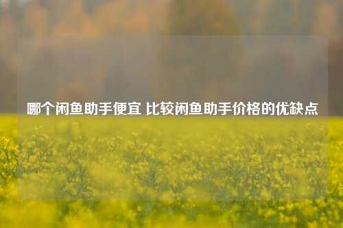 哪个闲鱼助手便宜 比较闲鱼助手价格的优缺点