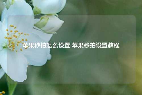 苹果秒拍怎么设置 苹果秒拍设置教程