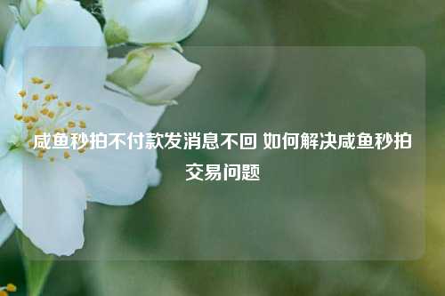 咸鱼秒拍不付款发消息不回 如何解决咸鱼秒拍交易问题