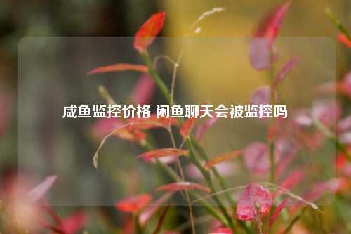 咸鱼监控价格 闲鱼聊天会被监控吗