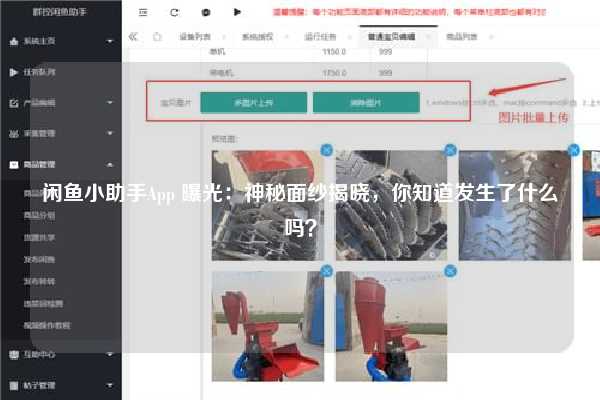 闲鱼小助手App 曝光：神秘面纱揭晓，你知道发生了什么吗？